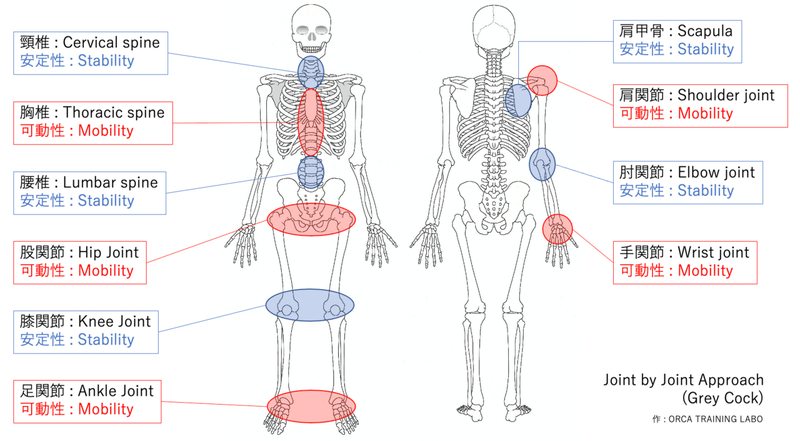 Joint by Joint Approach